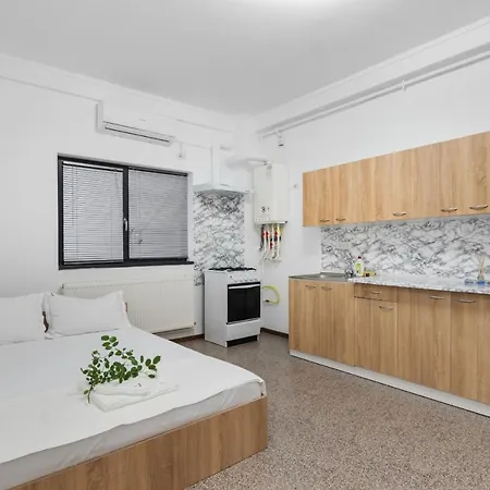 Lägenhet 1 Bdr With 2 Bed Near The Năvodari